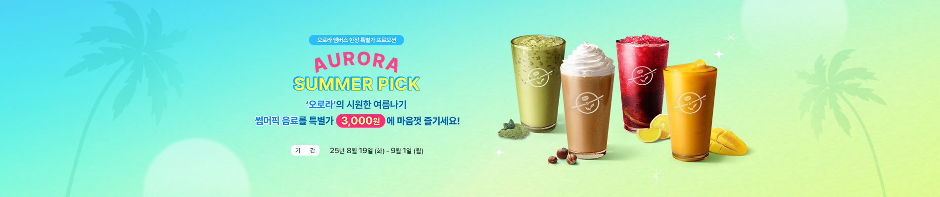 오로라 멤버스 한정 특별가 프로모션